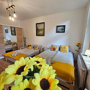 Appartement met een Slaapkamer